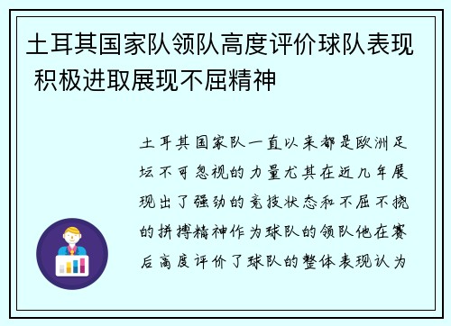 土耳其国家队领队高度评价球队表现 积极进取展现不屈精神